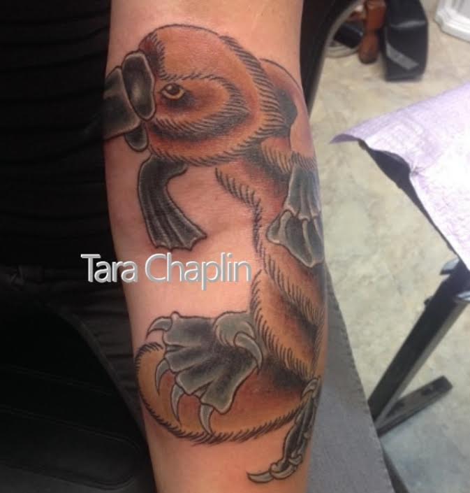 50 Fantastic Eagle Tattoo Designs  Ideas  Tattoo Me Now